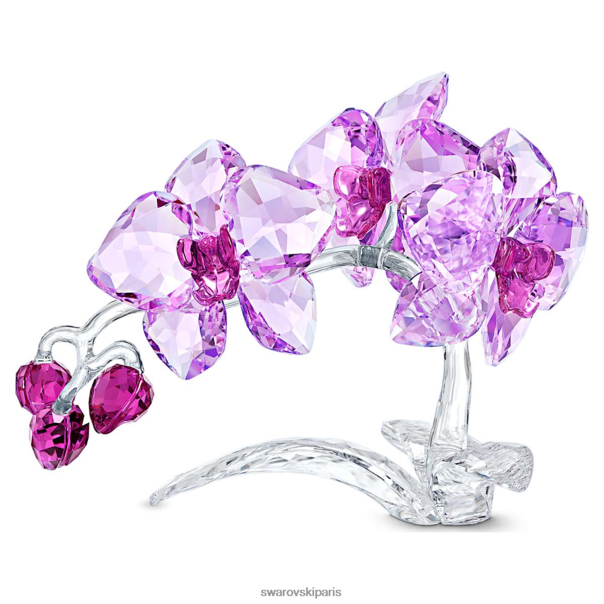 décorations Swarovski orchidée fleurs de cristal collection RZD0XJ1630
